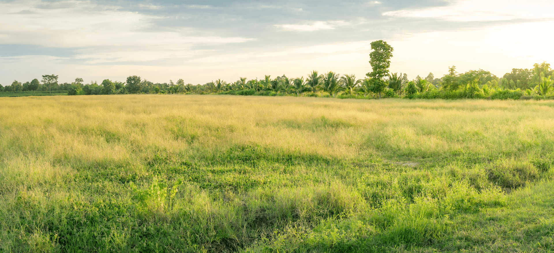 Land remediation relief